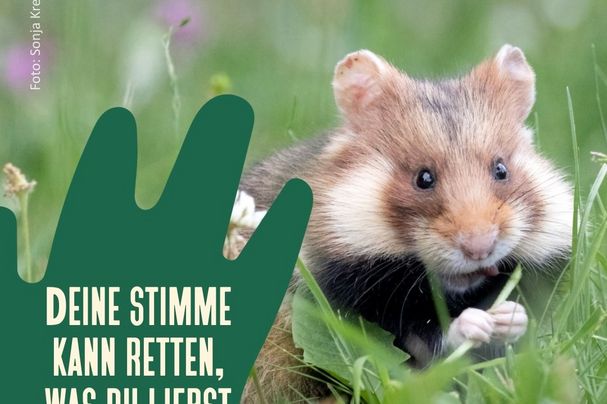 Bild: BUND Naturschutz in Bayern e.V.