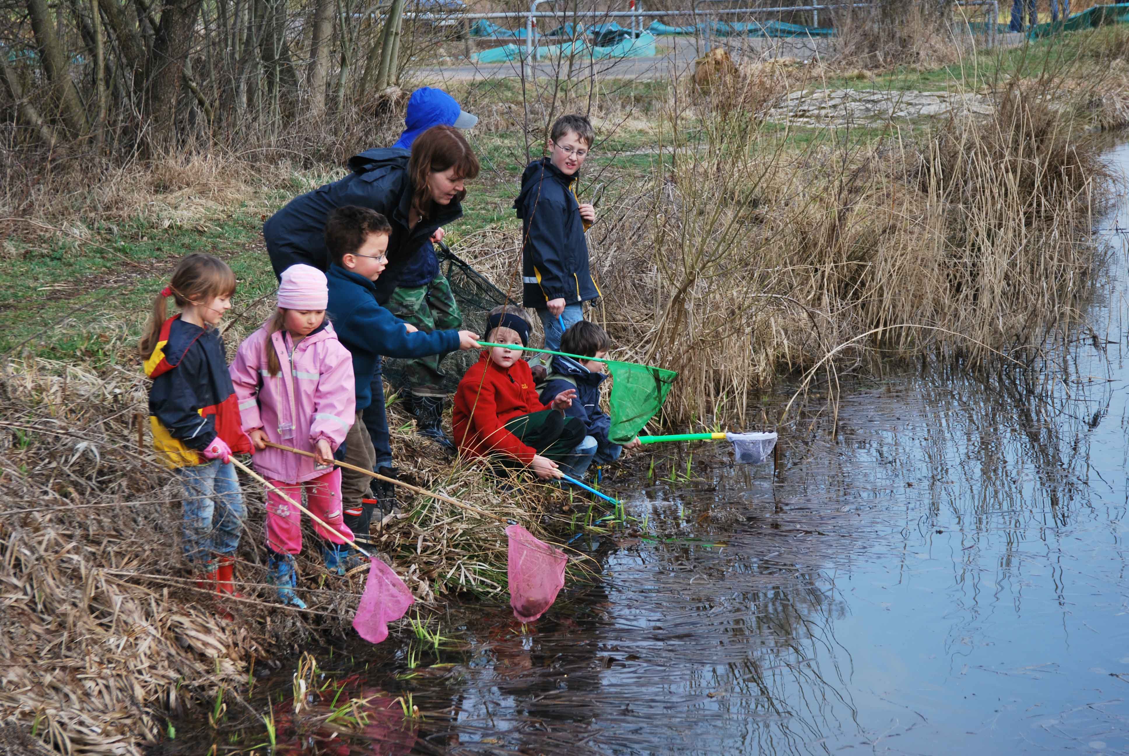 Foto: H.Frobel Kindergruppe erforscht das Leben im Wasser